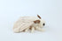 TAMMYFLYFLY 7 Inches Lifelike Moth Plush Toy,Cute Poodle Moth Stuffed Animal, Insect Model Toy, Soft Toy
