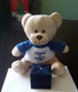 Super Cute and Cuddly 6 Inch Plush Mini Teddy Bear with Need a Hug? Message T-Shirt, Great for Gift Baskets