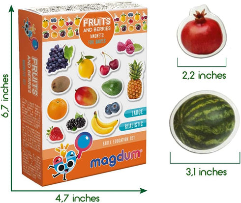 PHOTO FRUITs&Berries - Large Kitchen Magnets for Toddlers - Educational Learning Toys for Kids, Development Magnets