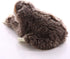 Cute Realistic Three Toed Sloth Plush Stuffed Animal Toy 12.5inch