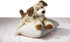 Mary Meyer FabFuzz Stuffed Animal Soft Toy, 18-Inches, Large Scruffy Puppy
