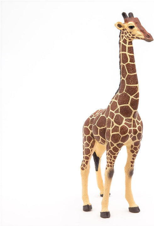 Papo Giraffe Male Figure