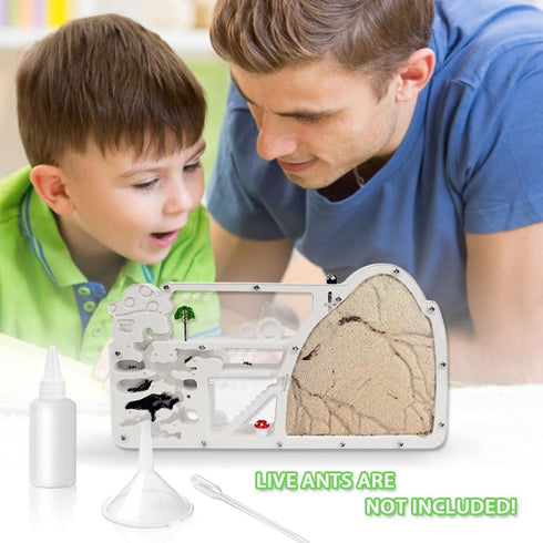 Ant Farm Castle - Ant Farms with Yellow Sand and Tool Kit, Educational Observation Kit for Kids, Adults, Science