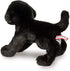 Douglas Brewster Black Lab Dog Plush Stuffed Animal