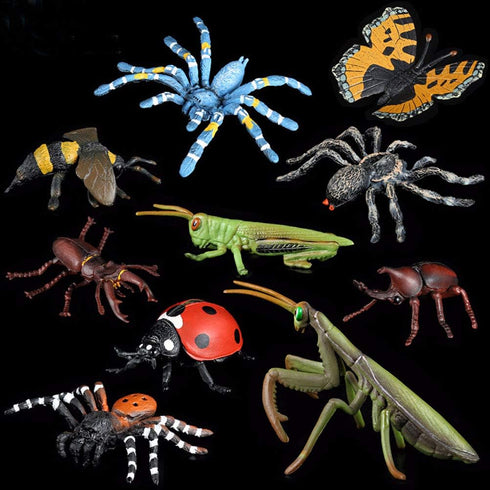 Insect Bug Toy Figures - 5pcs Realistic Ladybug Spider Action Models for Toddlers Educational Learning Gifts