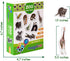 19 Fridge Magnets for Toddlers, Zoo Photo Kids Magnets for Refrigerator, Animal Magnets