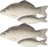 BigOtters 4PCS Fake Fish, Realistic Artificial Sea Fish Playset Model Food Display for Kids Kitchen Decor