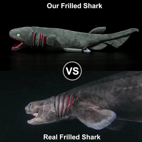 Frankiezhou Home 20.5" Realistic Frilled Shark Plush Toy - Simulation Grey Lifelike Frilled Six Gill Shark Stuffed