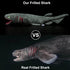 Frankiezhou Home 20.5" Realistic Frilled Shark Plush Toy - Simulation Grey Lifelike Frilled Six Gill Shark Stuffed