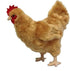 12" Adore Standing Buffy The Hen Chicken Plush Stuffed Animal Toy