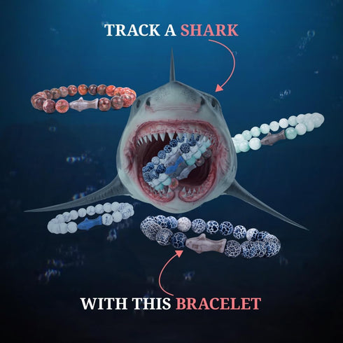 Fahlo Shark Tracking Bracelet, Elastic, Supports Saving The Blue, One Size Fits Most for Men and Women