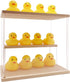 LONG TAO Clear Acrylic Display Case with Shelf - Collectibles Storage Showcase for Hot Wheels, Lego, Funko Pop