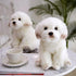 Realistic Plush Dog Toy - Lifelike Stuffed Animal, Fluffy Maltese Dog (Large)