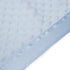 Pro Goleem Baby Soft Minky Dot Blanket with Silky Satin Backing for Boys (Blue, 30’’ x 40’’)