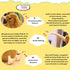 CHELEI2019 7.9" Kiwi Bird Stuffed Animal Plush, Cute Hugging Pillow Soft Toy for Kids
