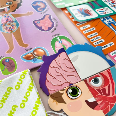 3-5 QUOKKA Magnetic Puzzles for Kids Montessori Puzzles for Toddlers Preschool Game Learning Human Body Parts Anatomy