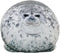 23.7 inch Large Seal Plush Pillow: Soft Stuffed Animal Toy ,Chubby Blob