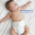 BISENKID (2-Pack, 2: 18-35lbs) Organic Cotton Cloth Diaper Inner - Super Absorbent and Comfy, Used with Waterproof