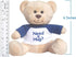 Super Cute and Cuddly 6 Inch Plush Mini Teddy Bear with Need a Hug? Message T-Shirt, Great for Gift Baskets