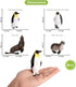 Volnau Sea Creature Toys Figures 8PCS Antarctica Ocean Animals for Toddlers, Christmas Decoration Gift