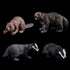 Realistic 7pcs Animal Figures Action Model Set, Educational Learning Toys Birthday Gift for Kids and Toddlers