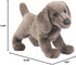 Cassie the Weimaraner Plush Toy - Realistic Stuffed Animal