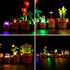 LIGHTAILING LED Light for Lego 10329 Tiny-Plants, Lighting Kit Compatible with Building Blocks Model