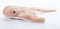 The Petting Zoo Cownose Ray Stuffed Animal Plushie, 15 inches Stingray Plush Toy Gifts for Kids
