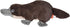 12 inches Wild Republic Platypus Plush, Stuffed Animal, Plush Toy, Gifts for Kids, Cuddlekins