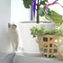 60 Pcs Magic Twisty Worm Wiggly Fuzzy Worms on a String Toys for Party Supplies in 12 Colors