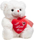 HollyHOME I Love You Teddy Bear - Soft Plush Toy with Heart, 12 inches White, Christmas Valentine's Day Gift