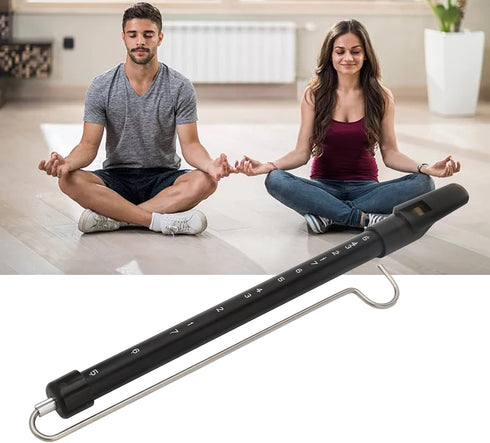 Slide Whistle, Dioche Adjustable Pitch Musical Instrument, for Games Party Favors, Fun and Creative Gift for Music