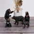 Realistic Wild Life Jungle Animal Figures, Black Bear Family Playset Educational Toys for Kids