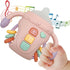 Baby Musical Toys, Sensory Learning Toy with Music and Lights, Pacifier Teething Rattle Toy for Toddlers Gifts