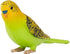 MOJO Green Budgerigar (Australian Parakeet) Realistic Wildlife Toy Replica, Hand Painted