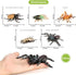 Volnau Insect Toys Figurines 13PCS Bug Figure Pack for Kids Educational Decorations, Cicada Toy, Plastic Model