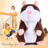 BestLand Plush Interactive Toys PRO Talking Hamster, Electronic Pet Chatimals Mouse Buddy, 5.7 x 3 inches, Brown