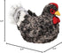 Cuddly Black Hen Plush Toy - Douglas Pepper