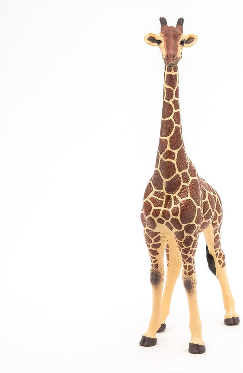 Papo Giraffe Male Figure