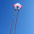 HENGDA KITE 2 Pack Butterfly Kite for Kids and Adults, Easy to Fly, Beautiful High Definition Pictures
