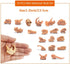 19 PCS Mini Mammal Skull Set Realistic Dinosaur Bones Prehistoric Animals Head Skeleton Playsets Ancient Daeodon Mastodon Collection Figures Models