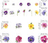 Pansy Flowers Wall Stickers, DIY Floral Wall Decals Art Decor for Kids Girls Bedrooms, Living Room