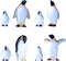BYTERT Ocean Animal Penguin Figure Model Collection Playset, 8 Pcs Penguin Cake Toppers