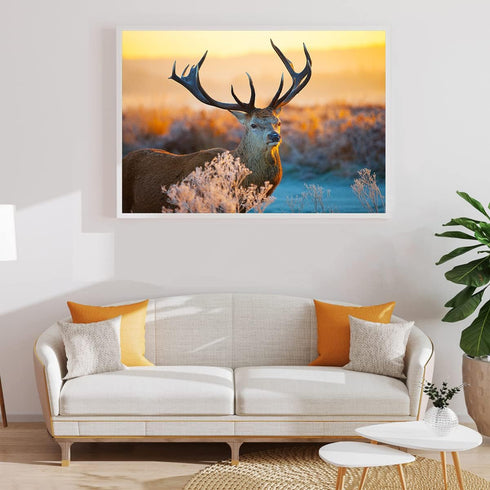 1000 Piece Jigsaw Puzzle for Adults - Red Deer in Morning Sun