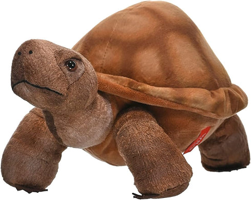 12 Inches,Multi, 0 Wild Republic Desert Tortoise Plush, Stuffed Animal, Plush Toy, Gifts for Kids, Cuddlekins Years