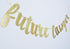 Law School Graduation Banner, Future Lawyer Glitter Gold Banner, Party Decorations (Gold)
