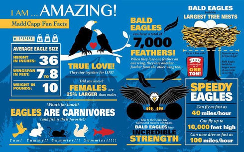 Madd Capp Puzzles - I AM Eagle - 550 Pieces Animal Shaped Jigsaw Puzzle