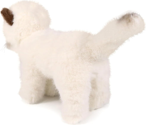 Ice King Bear Little Ragdoll Cat Stuffed Animal Kitten Plush Toy (Standing)