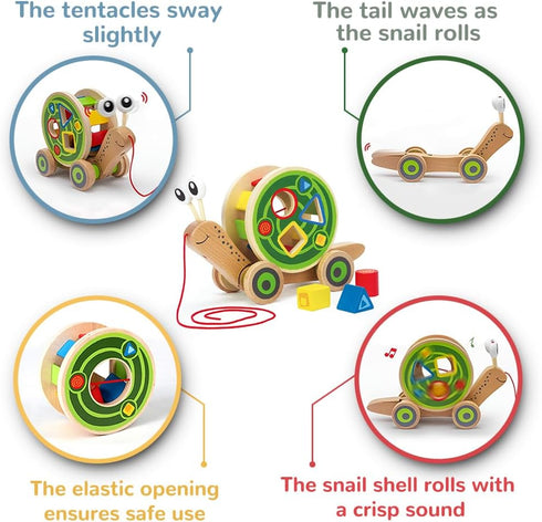 Award Winning Hape Walk-A-Long Snail Toddler Wooden Pull Toy, L: 11.9, W: 4.4, H: 7.3 inch
