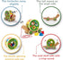 Award Winning Hape Walk-A-Long Snail Toddler Wooden Pull Toy, L: 11.9, W: 4.4, H: 7.3 inch